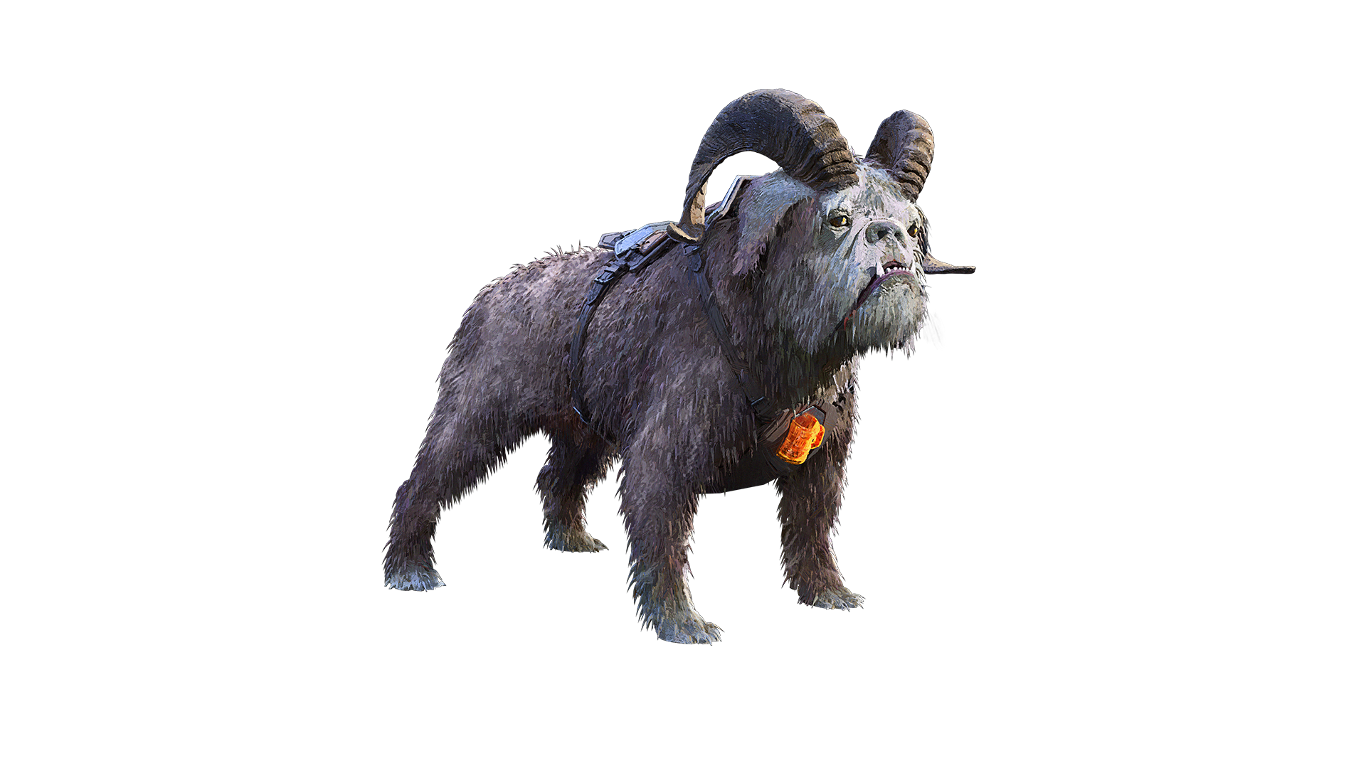 Boulderstone Bulldog