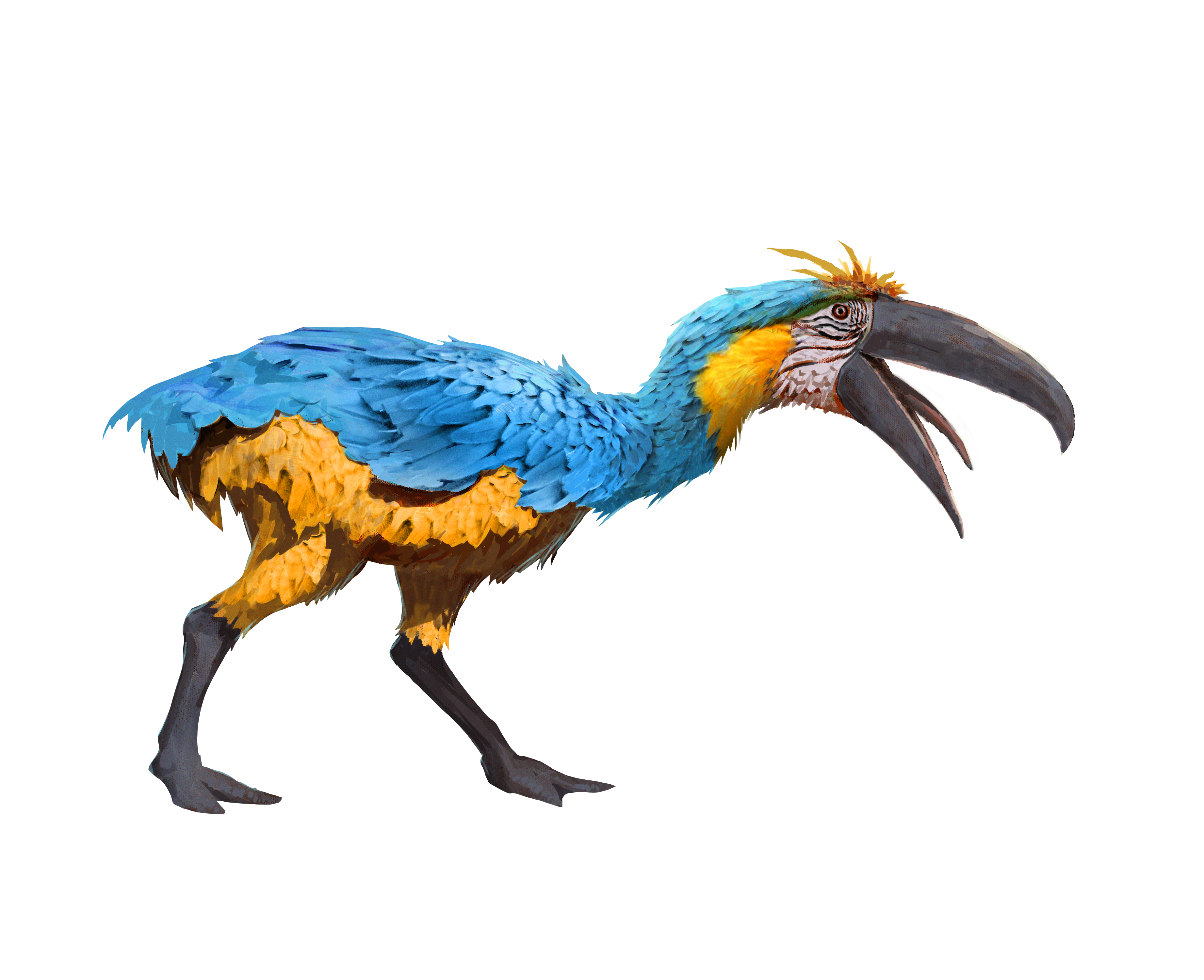 Fellbeak Macaw