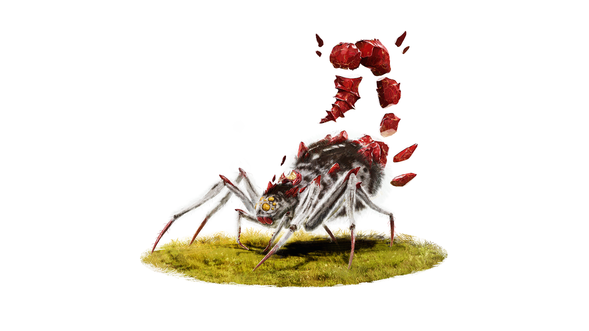 Mature Drill Spider