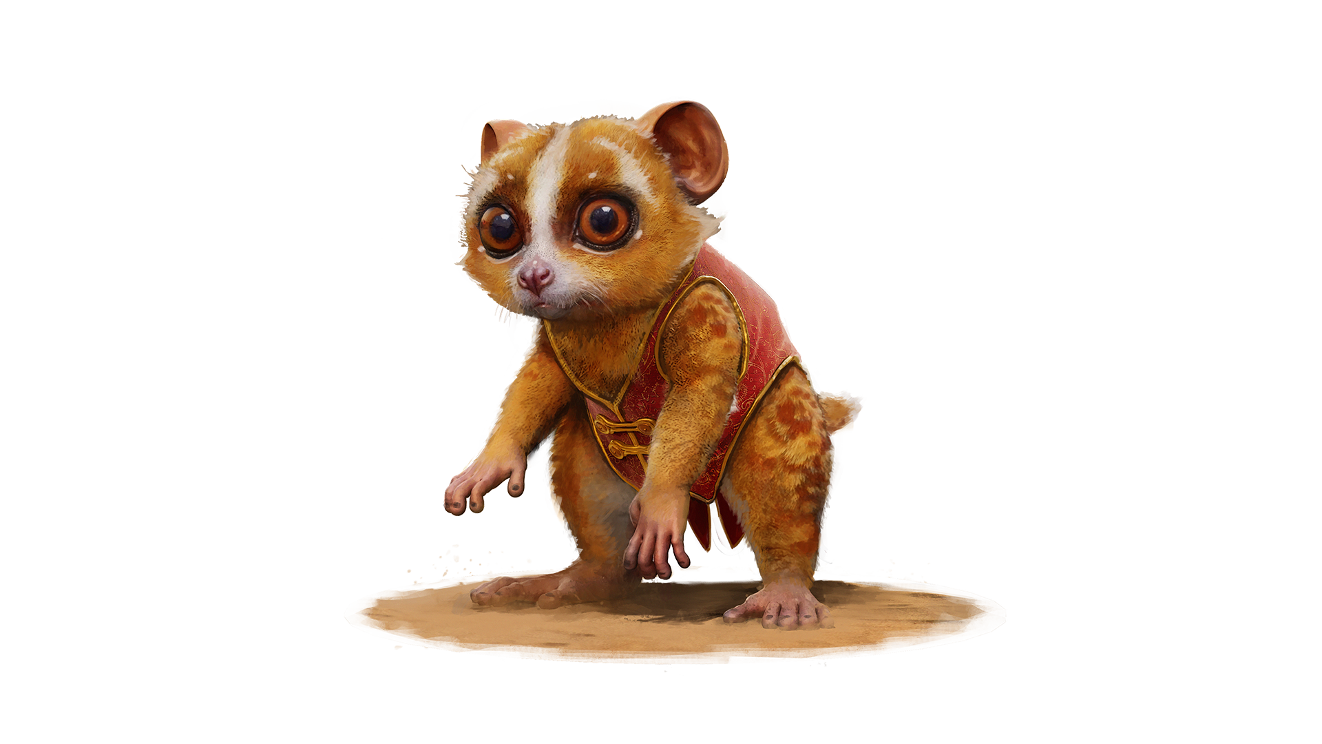 Peering Loris