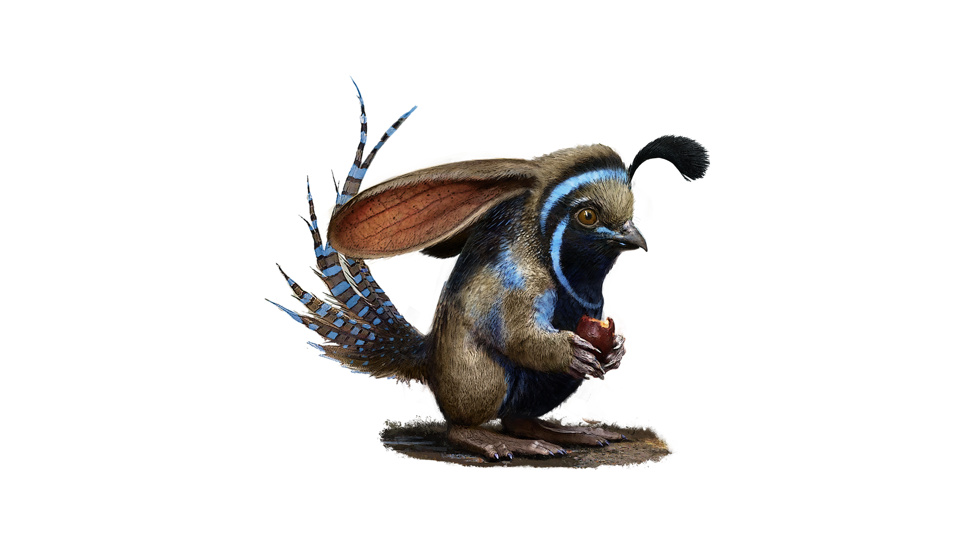Sage Plumph Companion