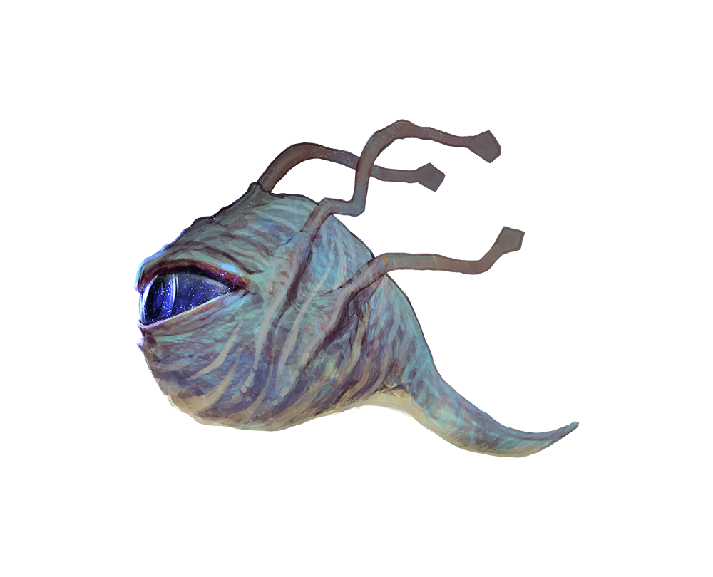 Seer of the Infinite