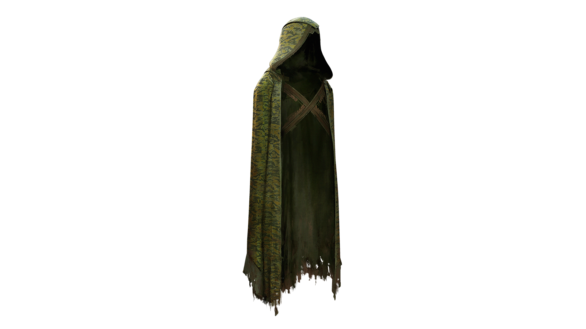 Shroud of the Vigilant